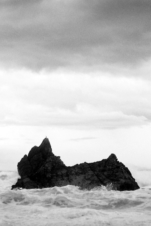 Archillect ID 102493