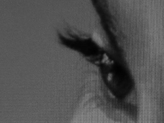 Archillect ID 102585