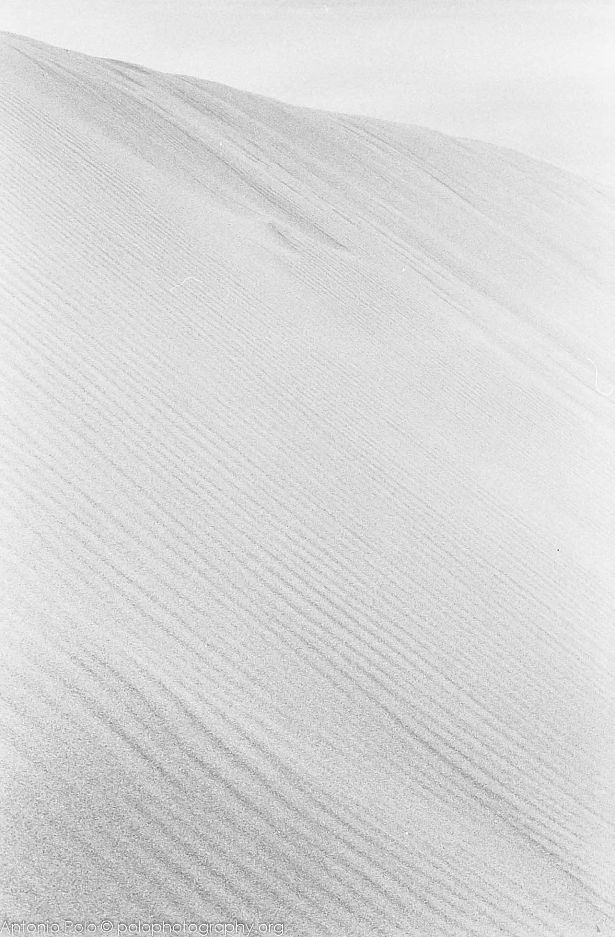 Archillect ID 102679