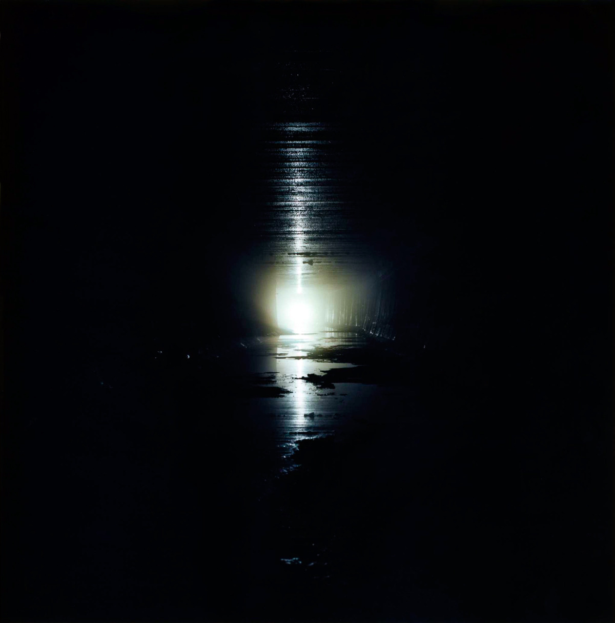 Archillect ID 102718