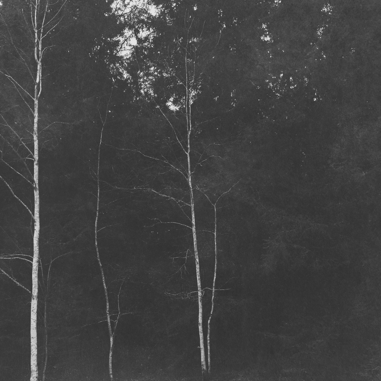 Archillect ID 102720