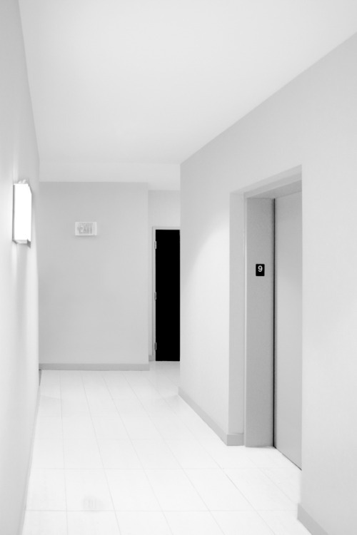 Archillect ID 102734