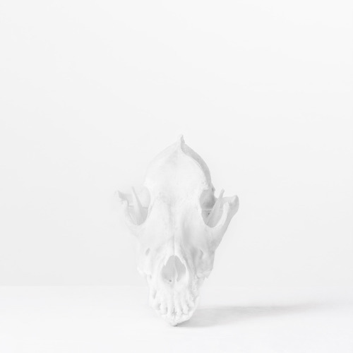 Archillect ID 102754