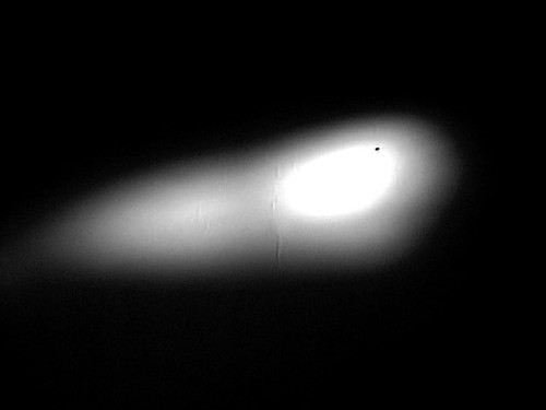 Archillect ID 102796