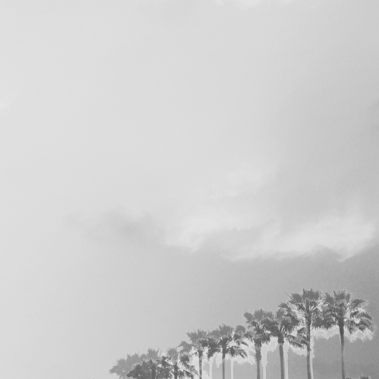Archillect ID 102895