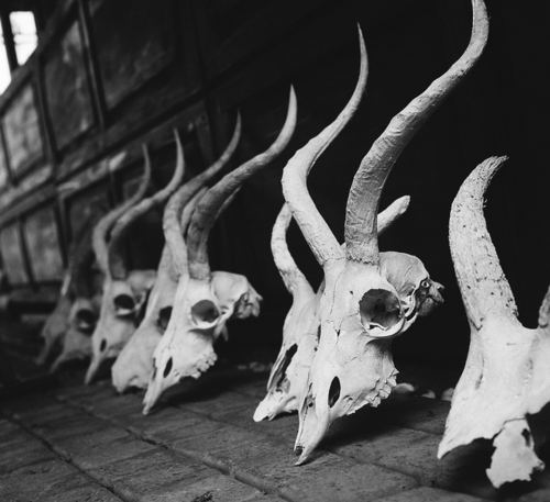Archillect ID 102926