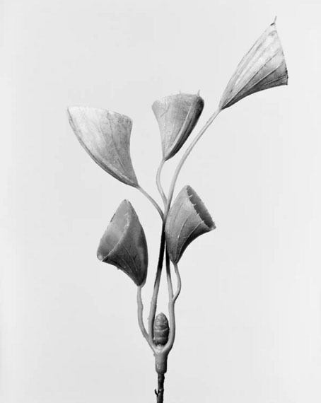 Archillect ID 102942
