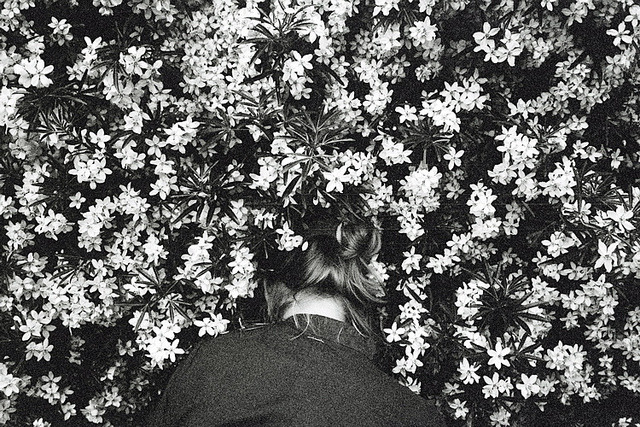 Archillect ID 103155