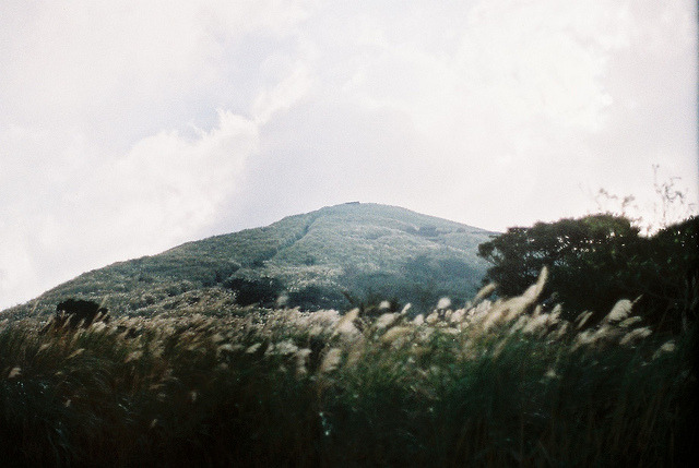 Archillect ID 103285