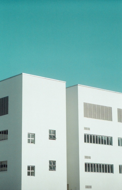 Archillect ID 103353