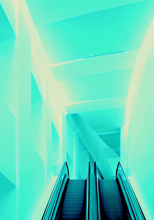 Archillect ID 103357