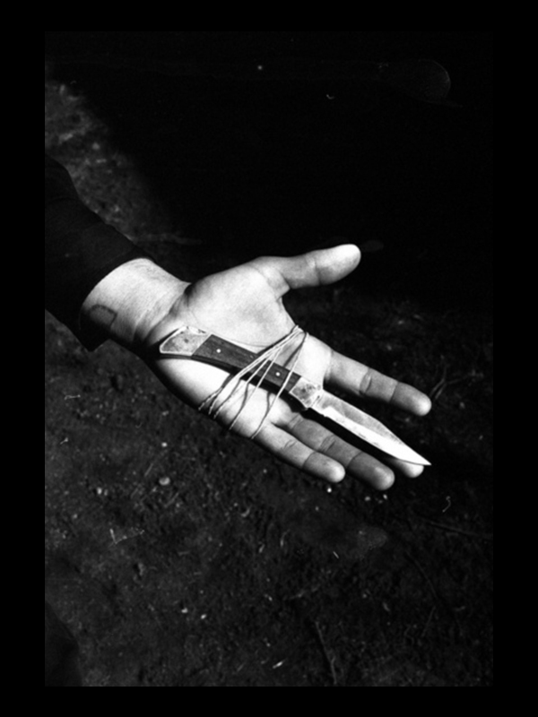 Archillect ID 103373