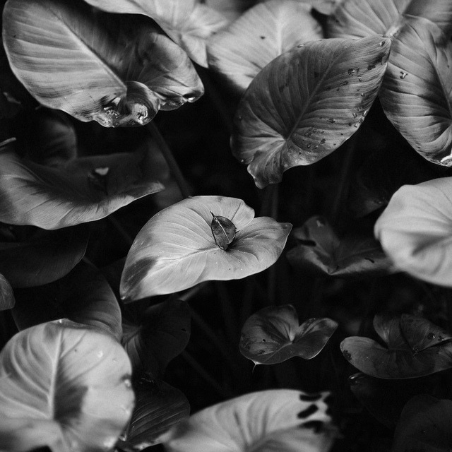 Archillect ID 103387