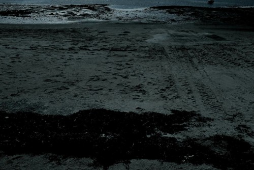 Archillect ID 103451