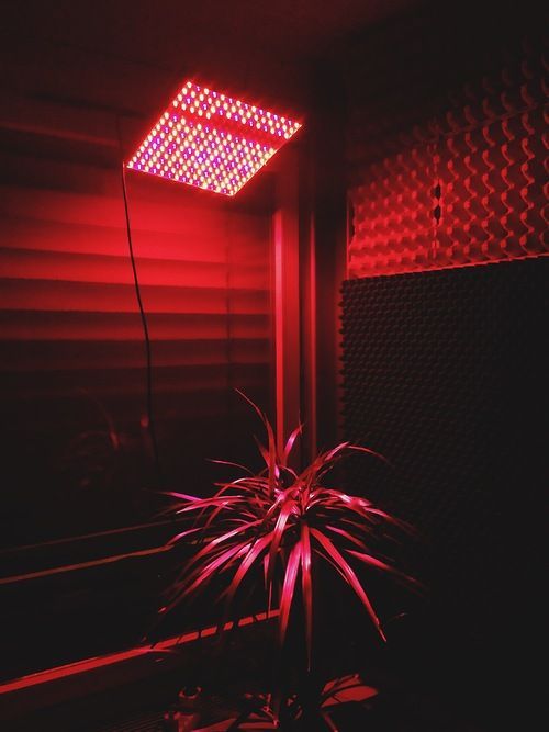 Archillect ID 103534
