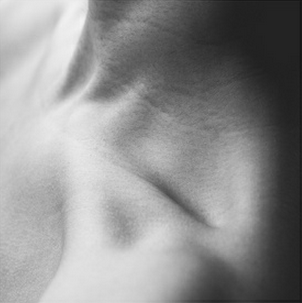 Archillect ID 103595