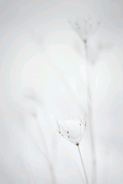 Archillect ID 103645