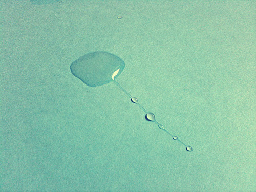 Archillect ID 103733