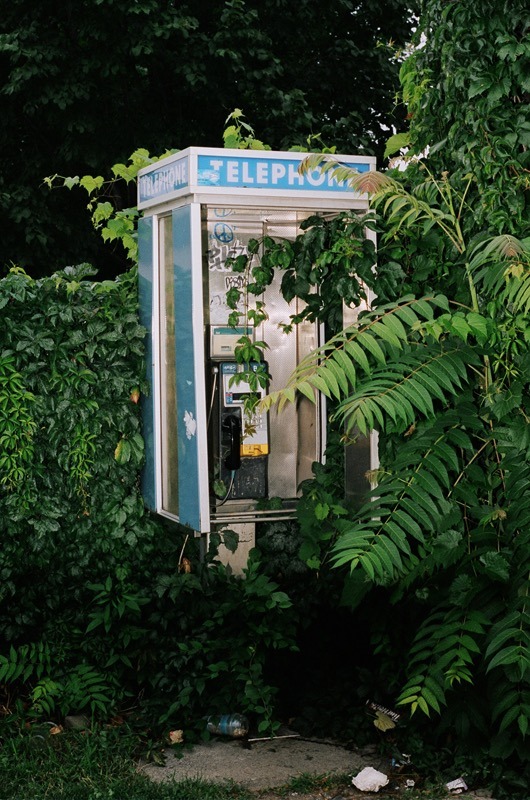 Archillect ID 103800