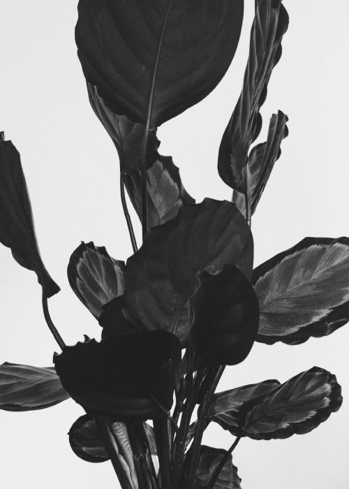 Archillect ID 103874