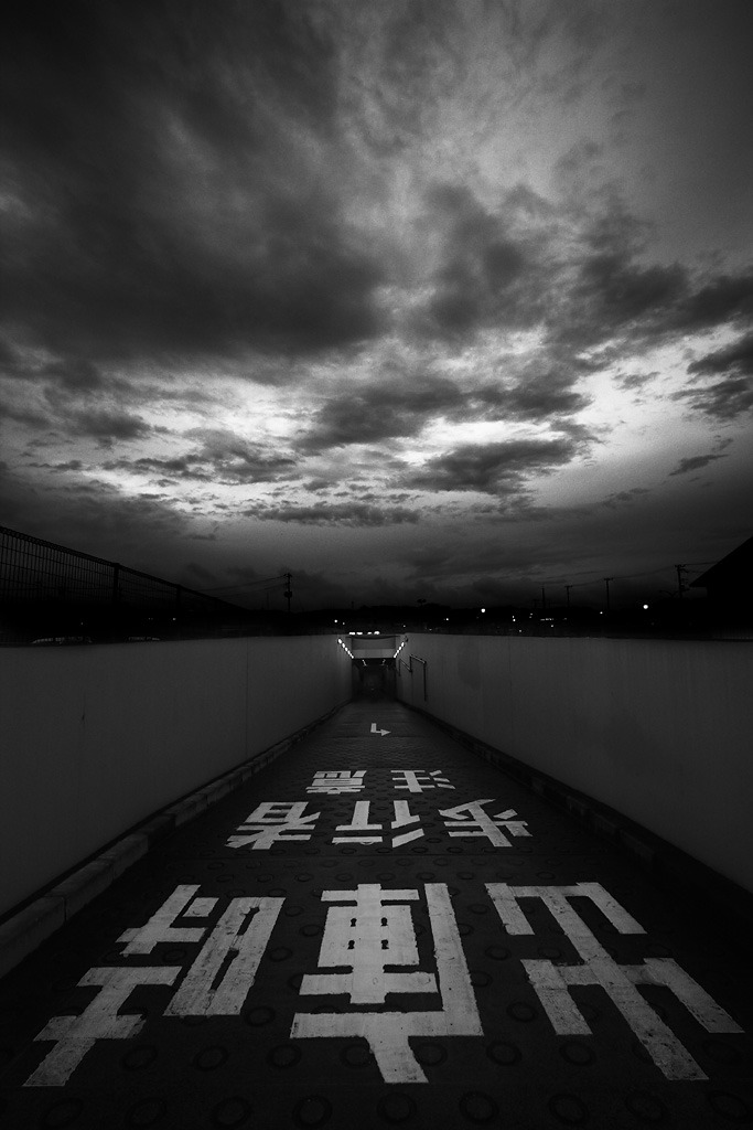 Archillect ID 104147
