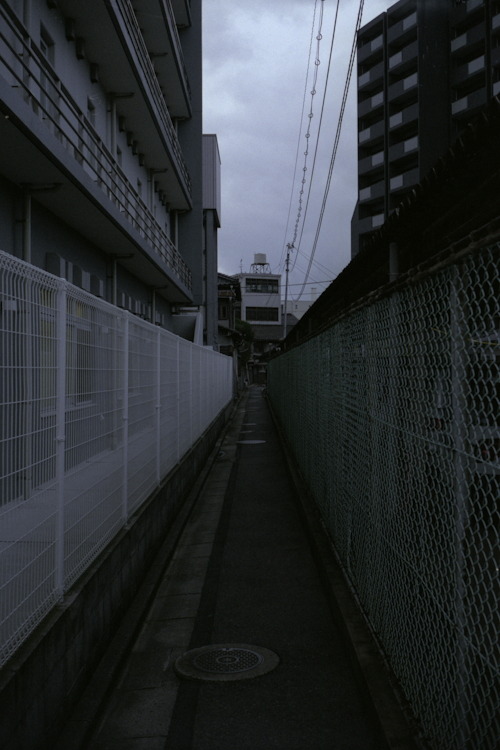 Archillect ID 104188