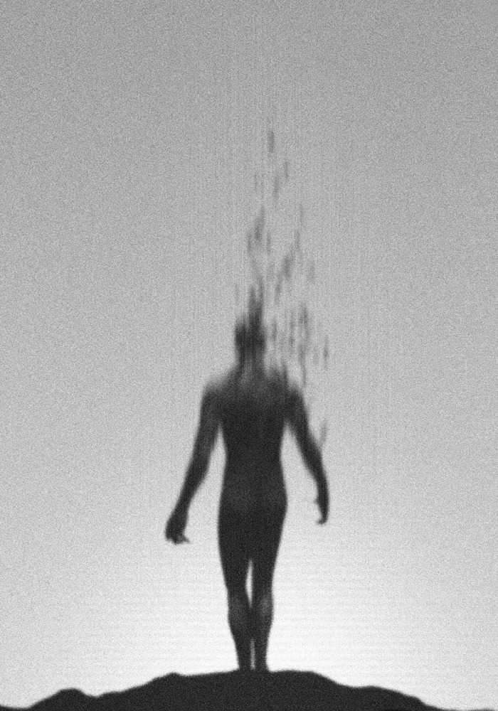 Archillect ID 104223