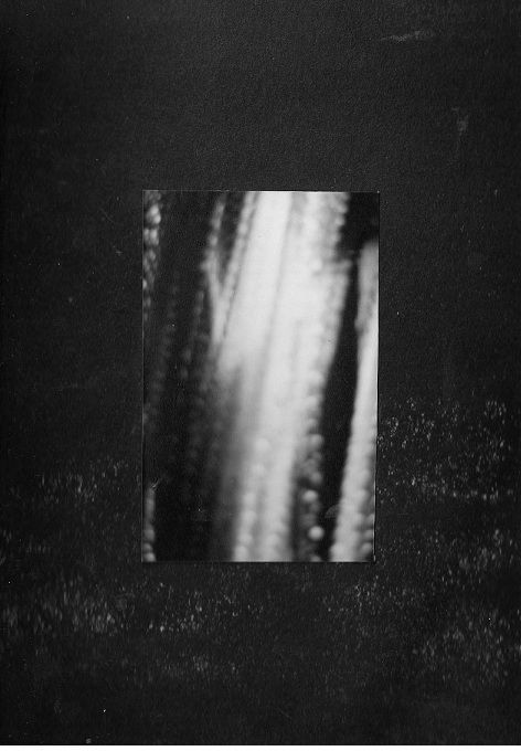 Archillect ID 104239