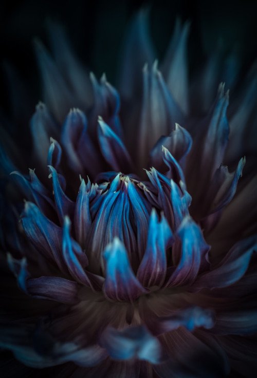 Archillect ID 104430