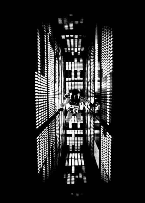 Archillect ID 104447