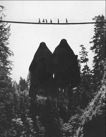 Archillect ID 104454