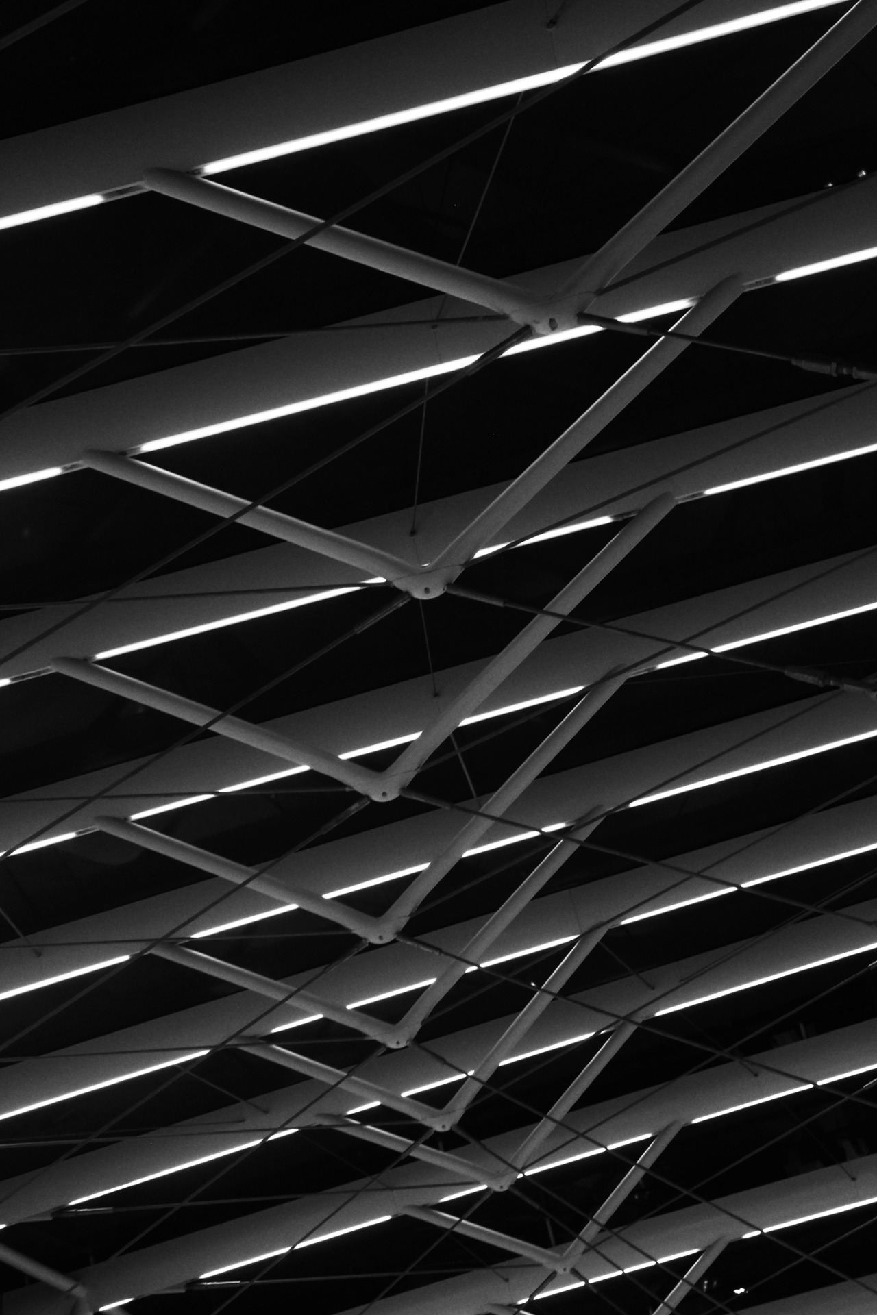 Archillect ID 104517