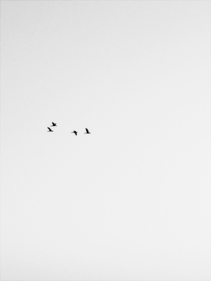 Archillect ID 104556