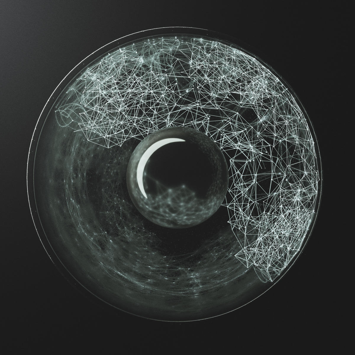 Archillect ID 104581