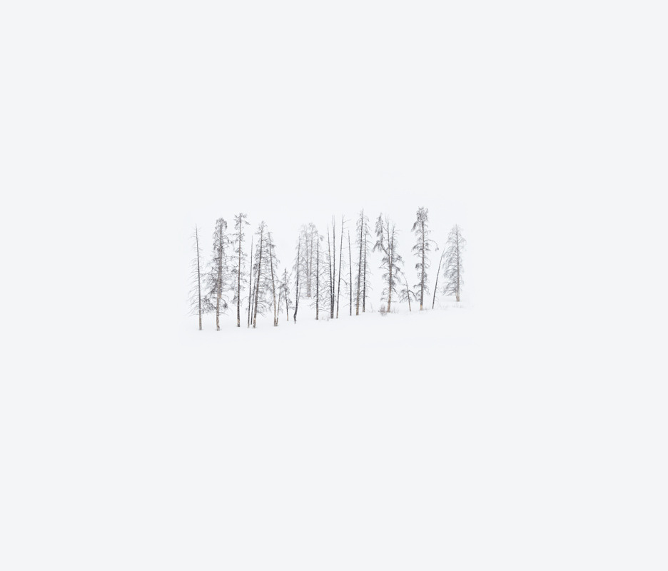 Archillect ID 104602