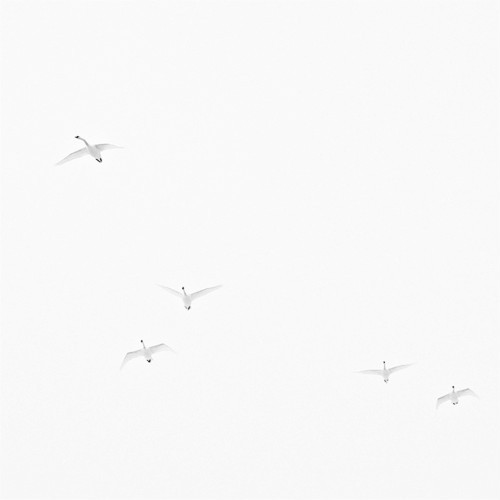 Archillect ID 104670