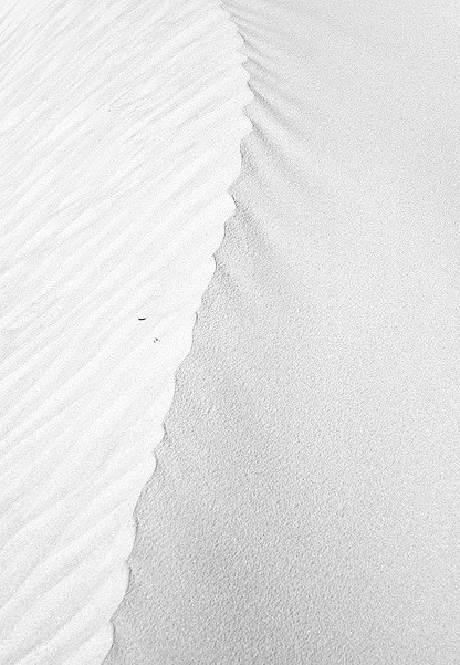 Archillect ID 104704