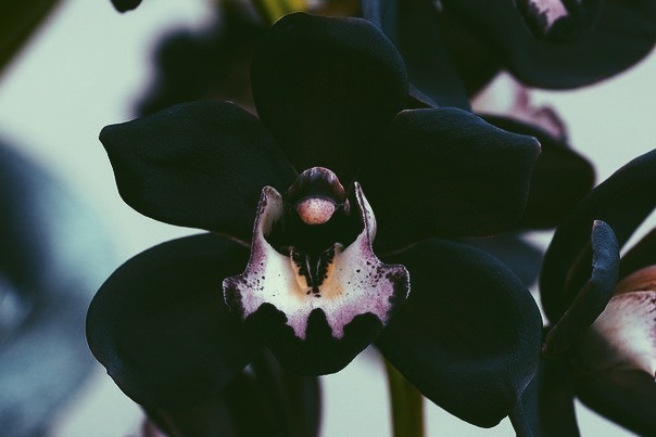 Archillect ID 104828