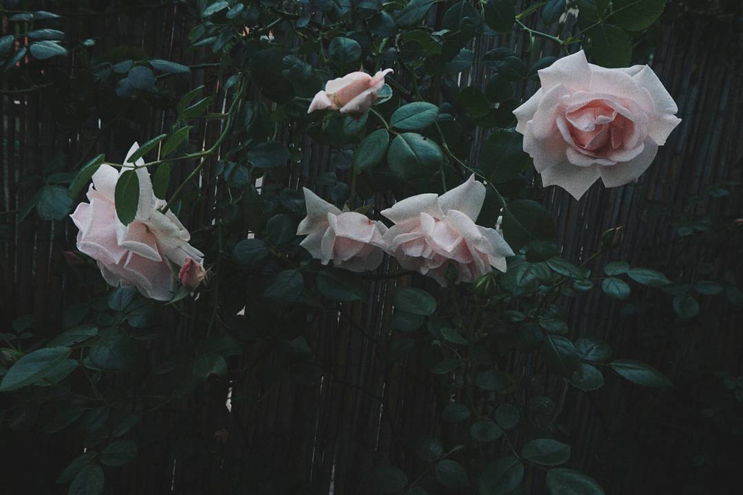 Archillect ID 104934