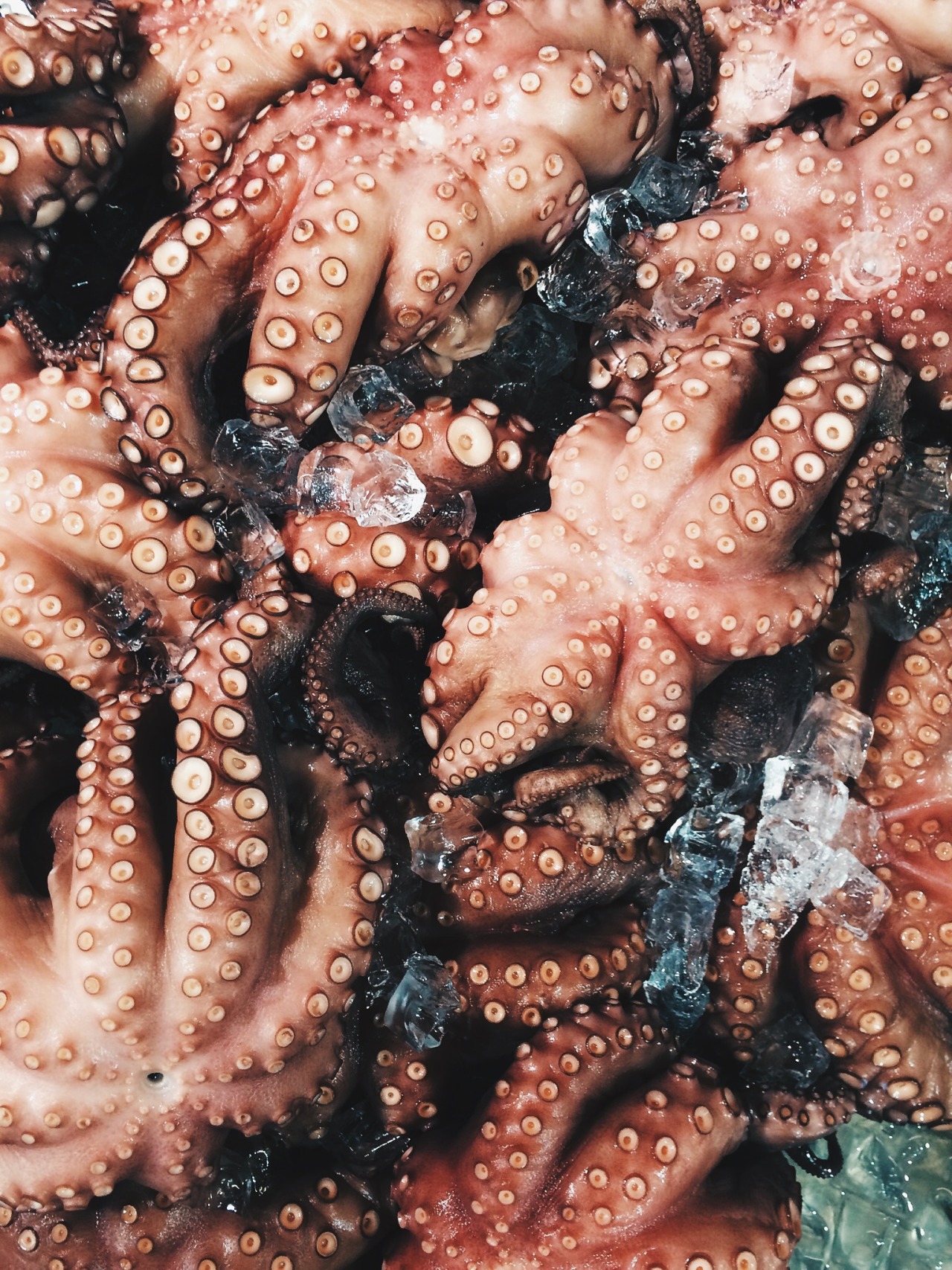 Archillect ID 105106
