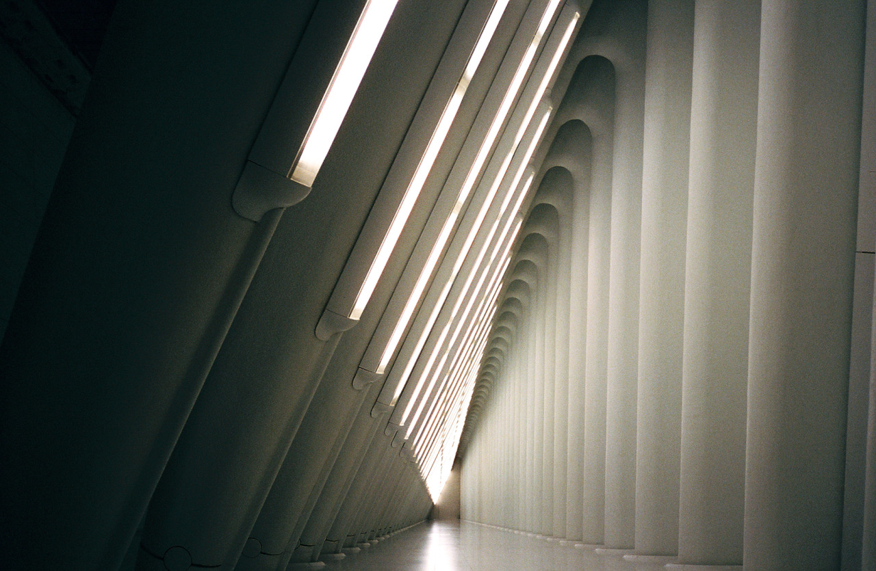 Archillect ID 105294