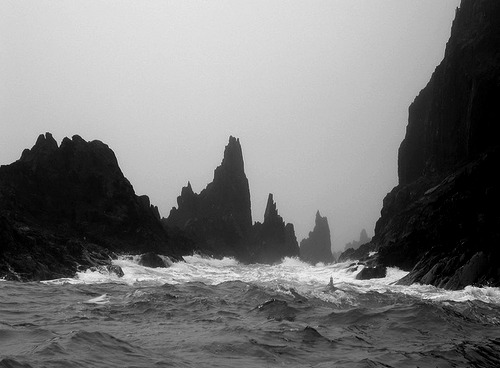Archillect ID 105313