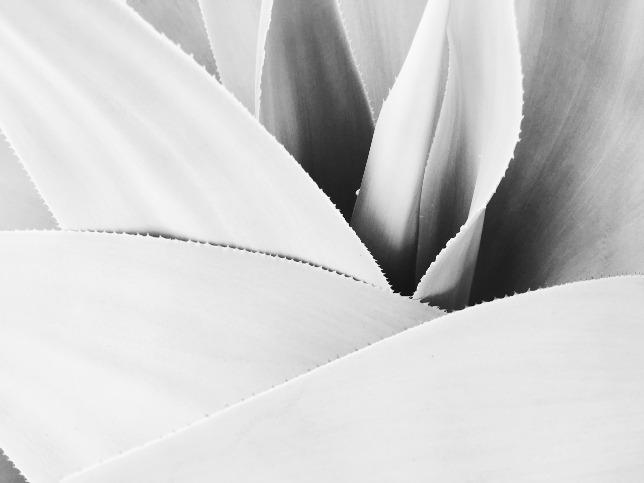 Archillect ID 105333