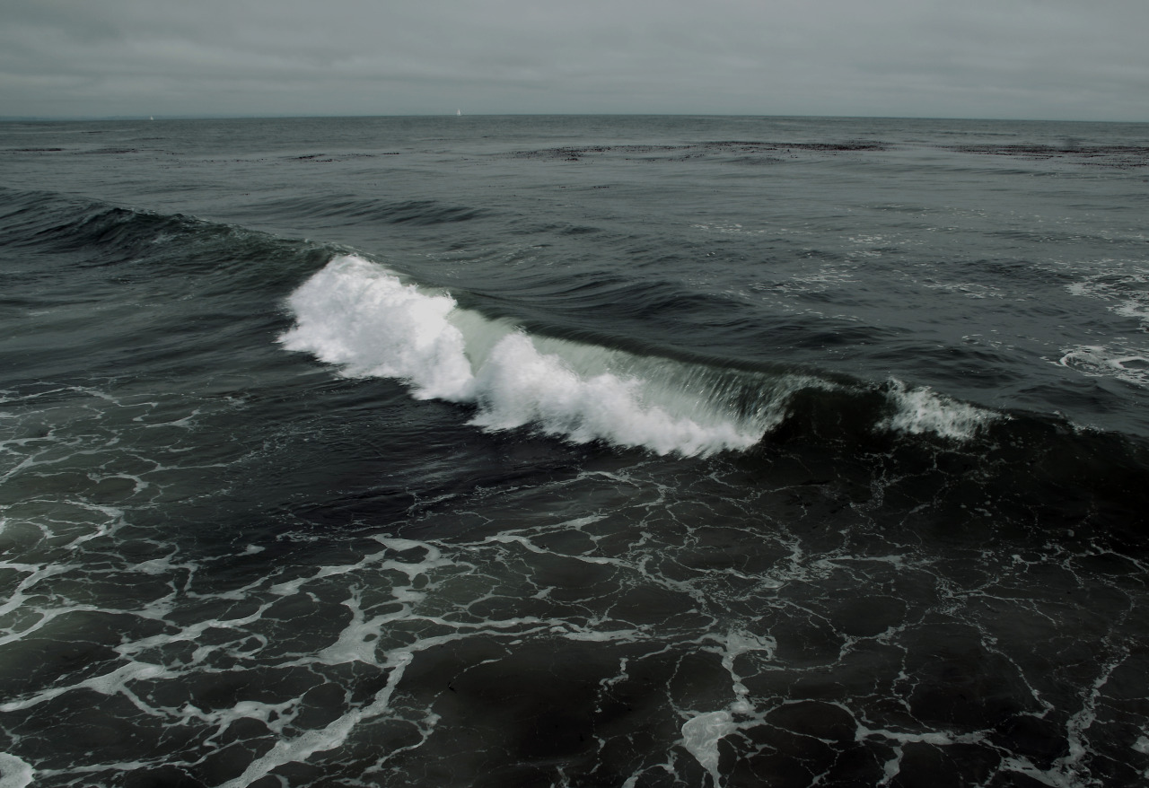 Archillect ID 105344