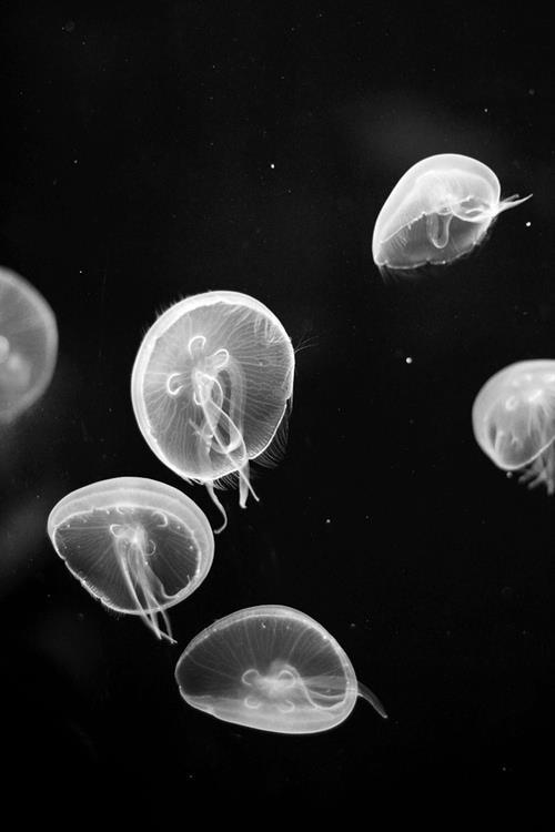 Archillect ID 105437