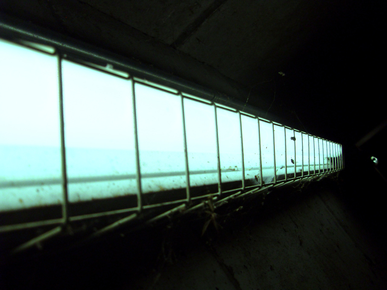 Archillect ID 105500