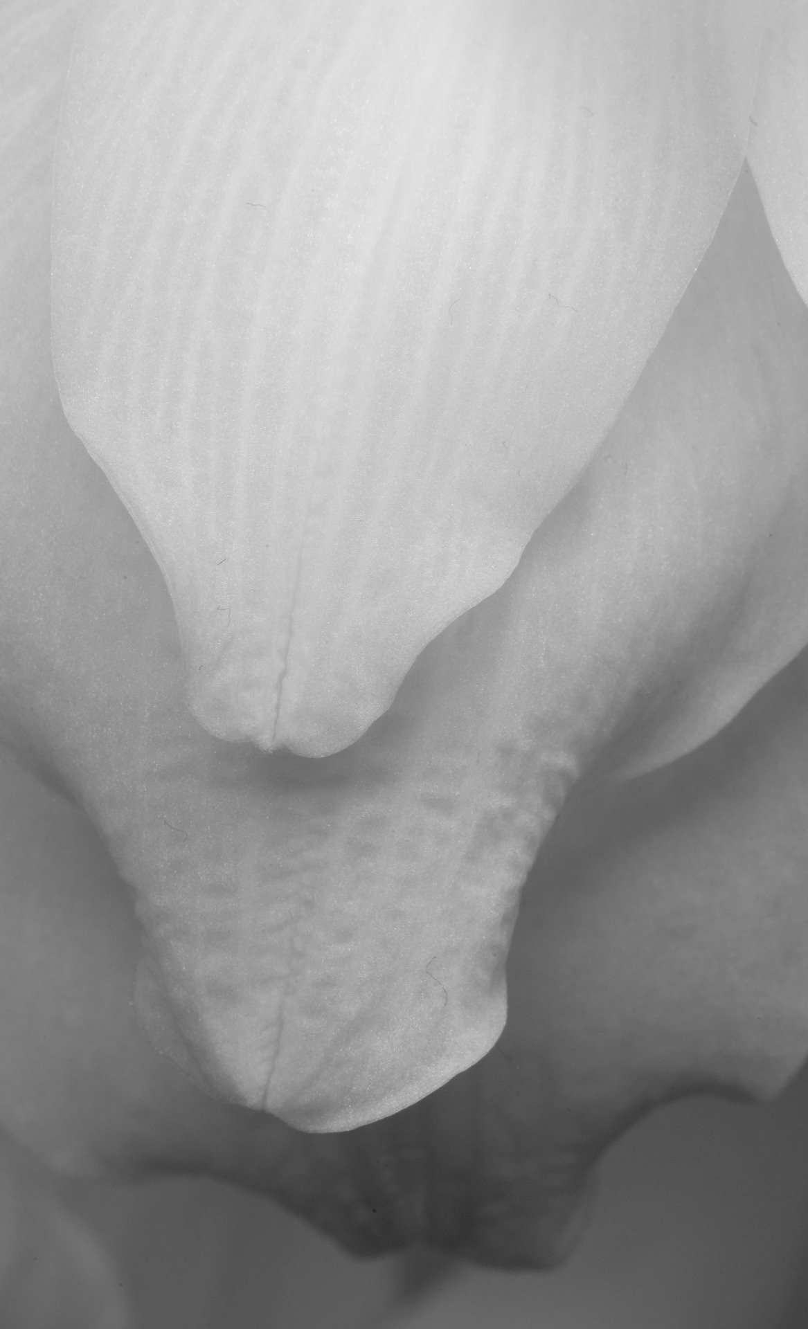 Archillect ID 105534