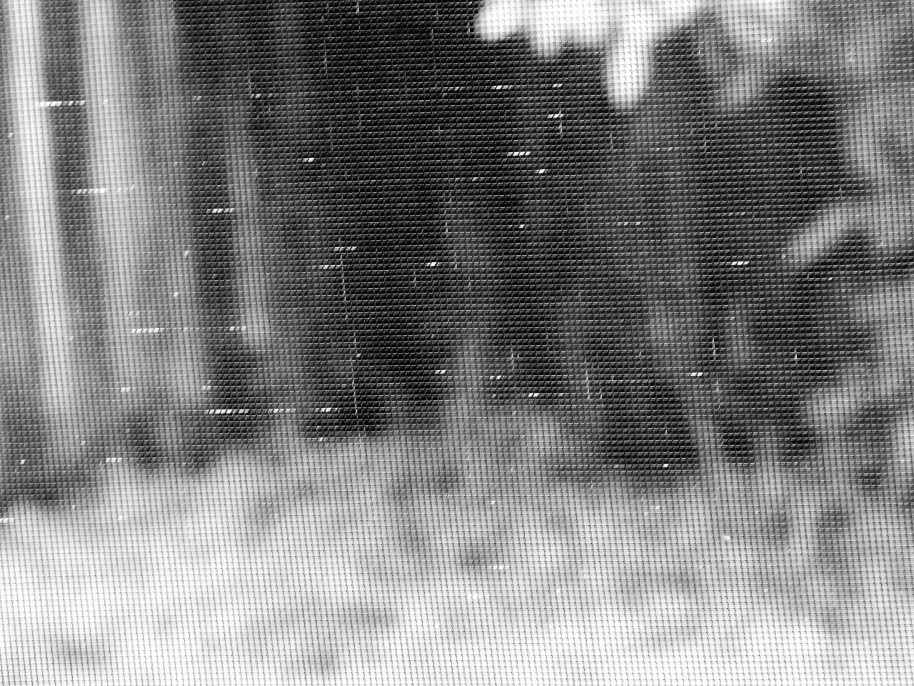 Archillect ID 105552