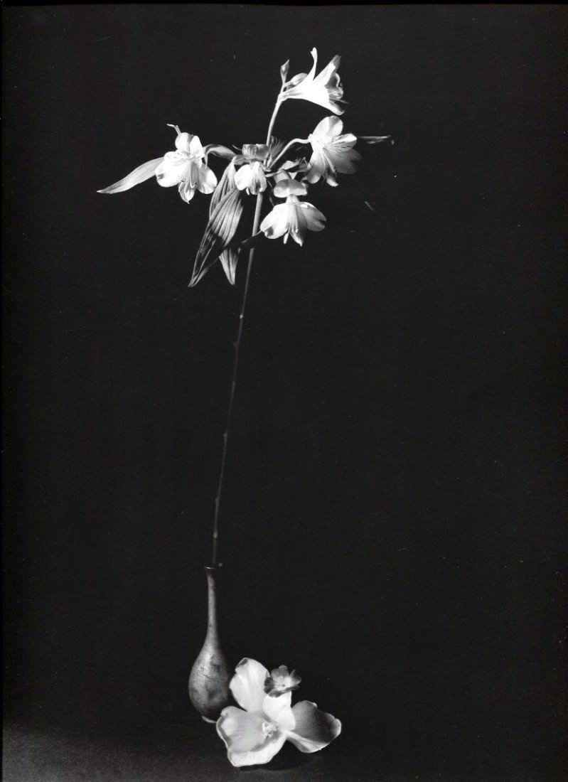 Archillect ID 105554
