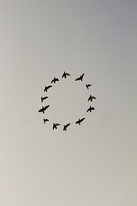 Archillect ID 105611